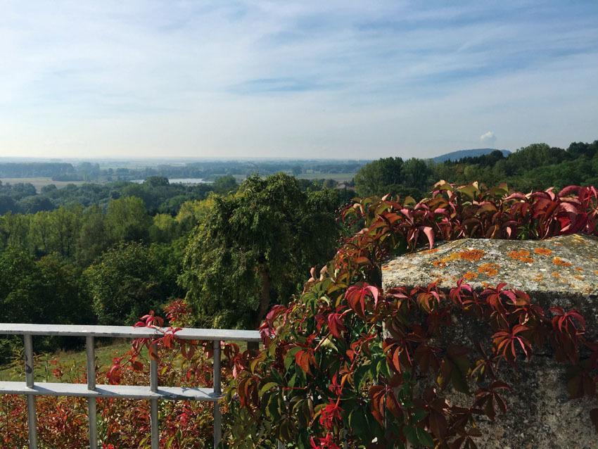 Hotel Schloss Leitheim エクステリア 写真